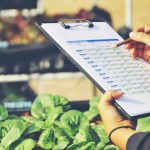 relazione-annuale-pni-2017