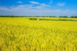 normativa-sicurezza-settore-agricoltura
